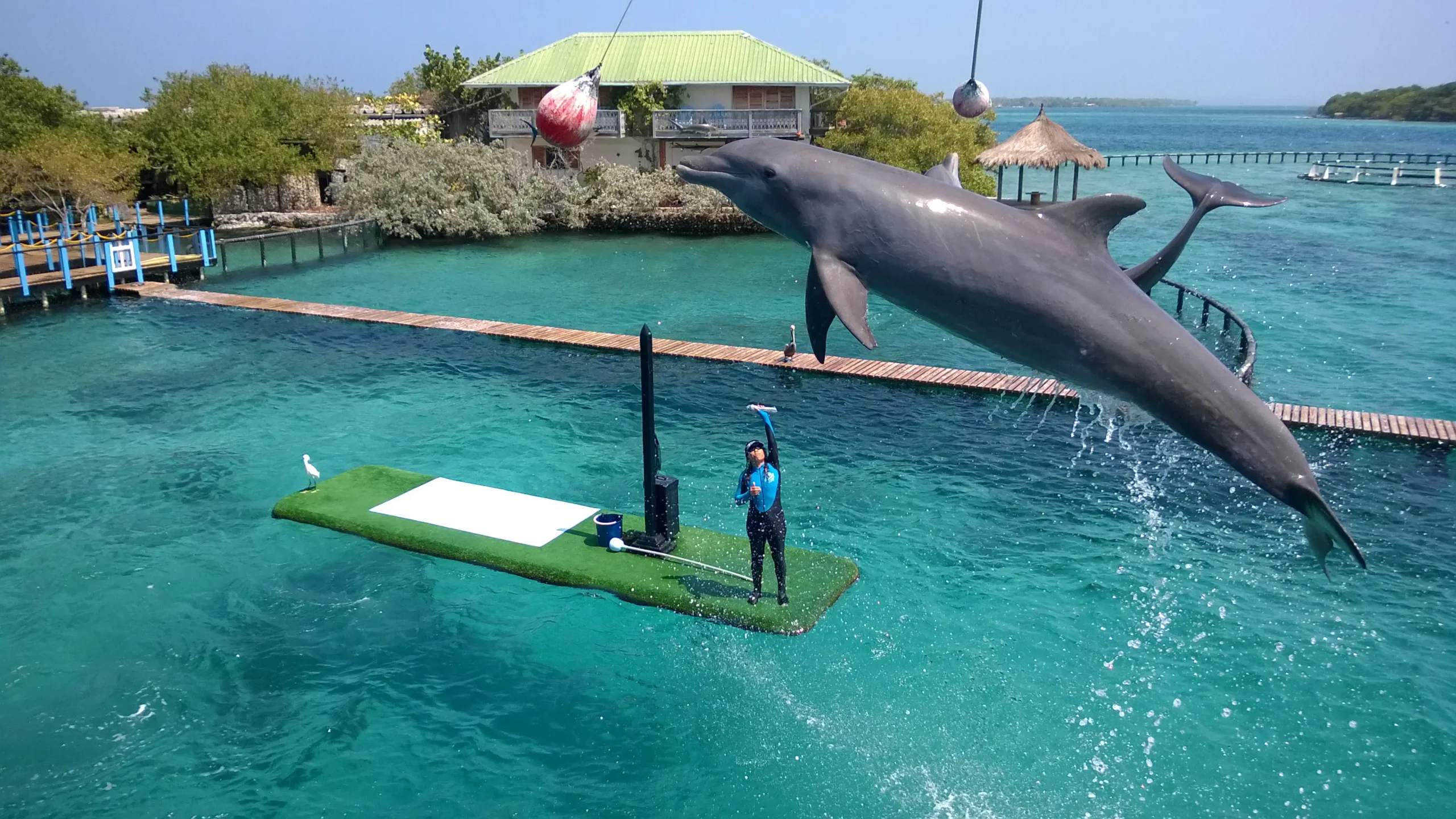 Islas_del_Rosario_-_Cartagena